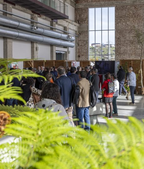 Visita VP Tercera 42